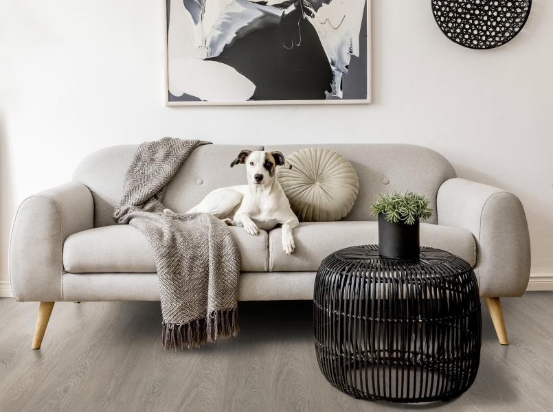 Greenland Grey salon