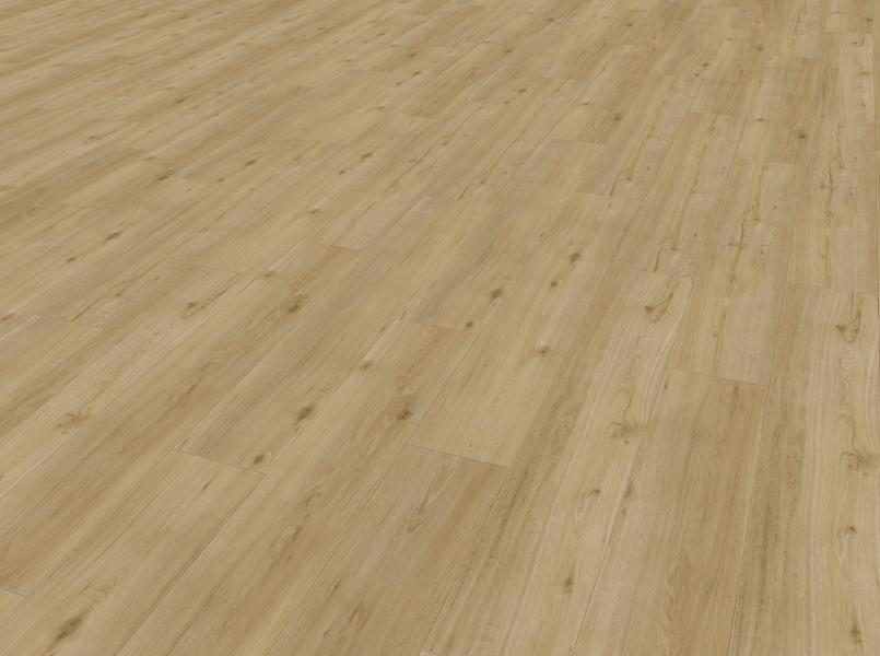 Columbia perspective