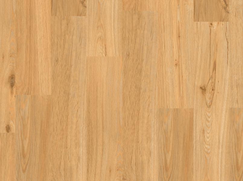 Hobart Scan Hobart Scan