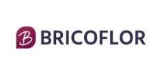 Logo Bricoflor