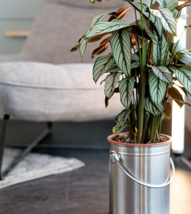 Clem Around The Corner Tendance Loft Industriel 2