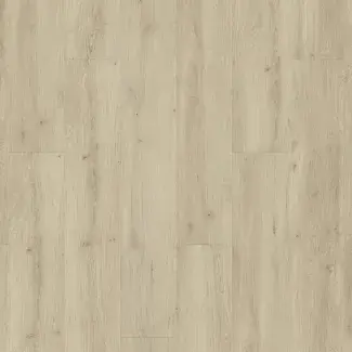 Sunny light - Dry Back