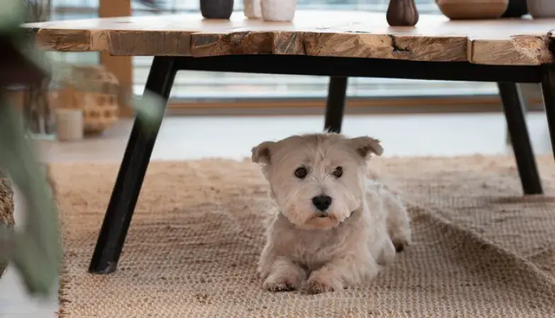 Virtuo Clem Around The Corner tendance minimaliste